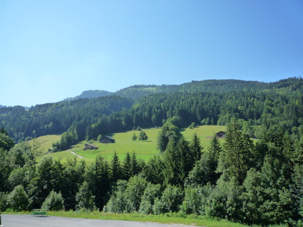 ル・グラン・ボルナンAravis Locationsアパートメント エクステリア 写真